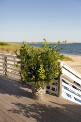 Conservancy_054_1023