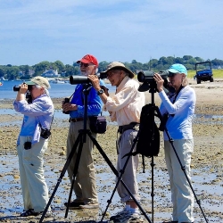 Carolyn Cimino, Reynold Larsen, Hank Golet, Barbara Gearhart