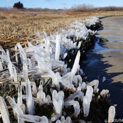 PVA_Ice